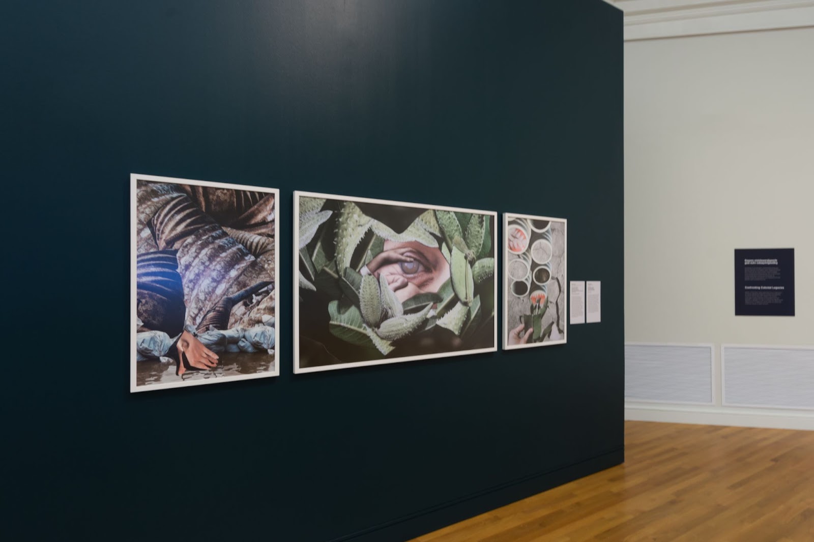 Three larged framed pieces are hanging on a dark green wall. They all appear to be photographs that are chopped up and rearranged together. The biggest one is a human eye with green leaves around it.