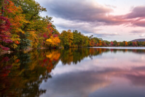 Trees in their fall colors viewed on a lake. The sky is purple and pink and it is reflected on the water.
